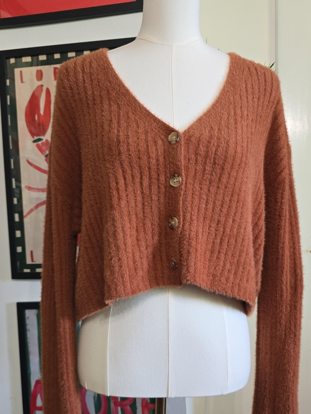 Rust Button-Front Angora V-Neck Cropped Sweater Lobe Tree